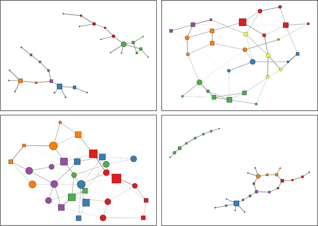 simulates_networks